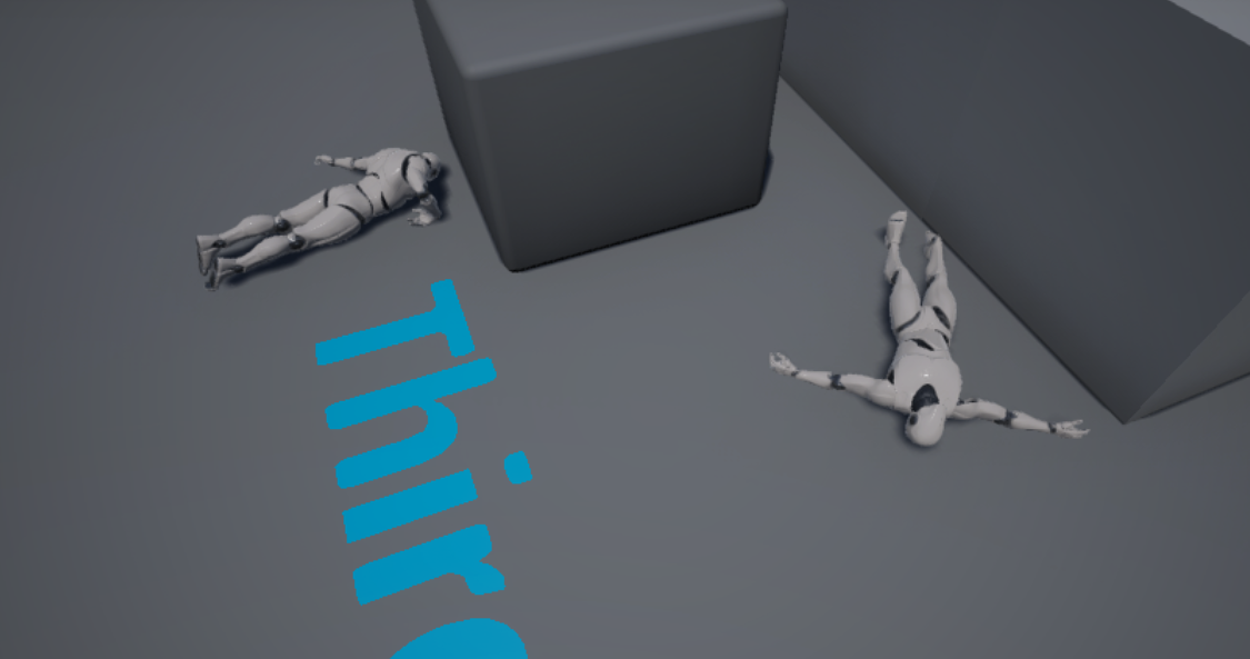 ragdoll1.PNG