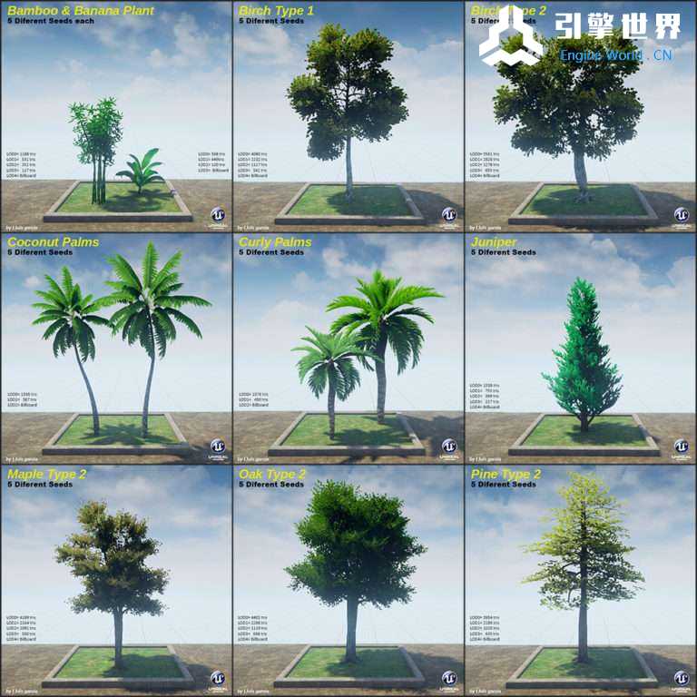 Trees-Library1-768x768.jpg